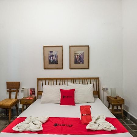 Reddoorz Hostel @ Kotagede 日惹 外观 照片